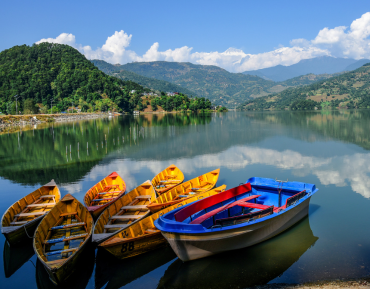 Best Flavors Presented